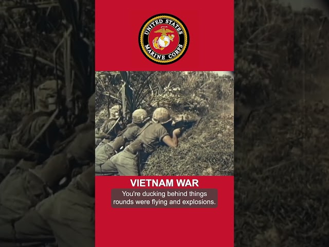 “The Warrior Gene”, USMC veteran describes a bad day in Vietnam.