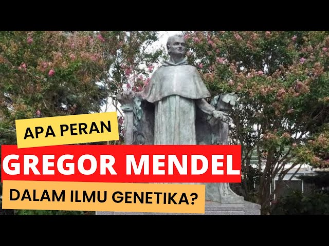 What was the Role of Gregor Johann Mendel in Genetics?