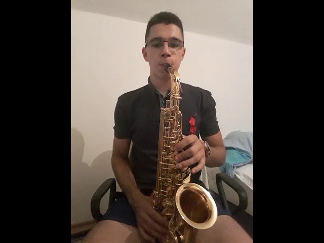 Ja baraba sve joj dzaba (Davor Badrov) Saksofon