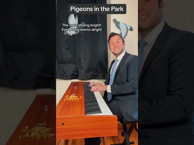 “Poisoning Pigeons in the Park” by Tom Lehrer #comedy #musical #piano #tomlehrer