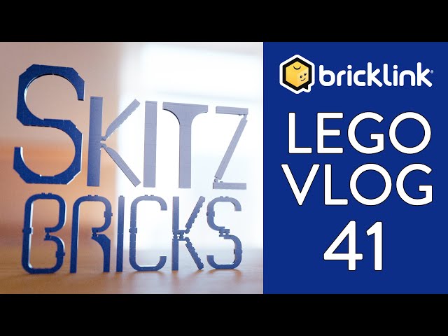 Goodbye to my Cat - Episode 41 -- Bricklink Part Time Lego Seller