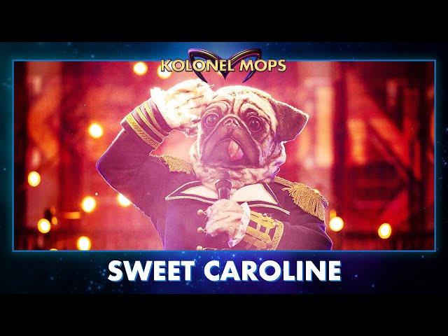 Kolonel Mops - ‘Sweet Caroline’ | The Masked Singer | seizoen 3 | VTM