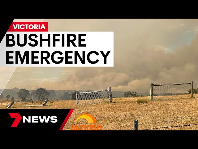 Terrifying Victorian bushfire crisis | 7 News Australia