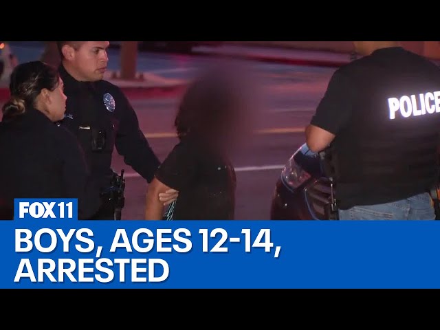 5 boys taken into custody after school break-in