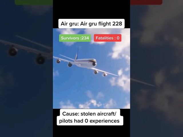 worst air crash investigation😅🤣