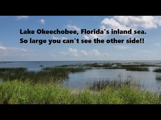 Lake Okeechobee, Florida's inland freshwater sea | So large you can't see the other side!