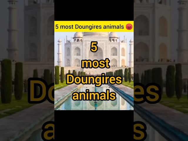 🇵🇰 5 most dangerous animals in world. #shorts #ytshorts #trending