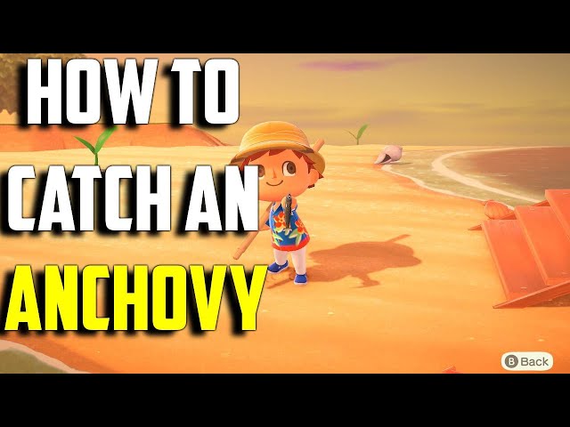 How to Catch an Anchovy | Anchovy ACNH | Anchovy Animal Crossing New Horizons | ACNH Anchovy