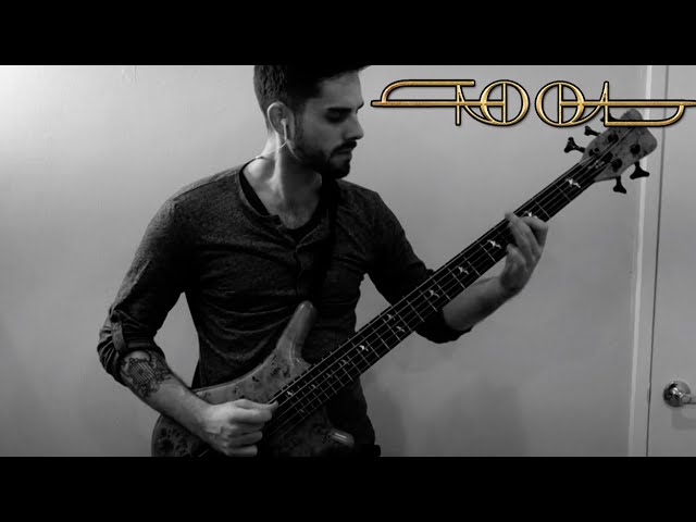 Tool - “The Grudge” (Bass Cover)