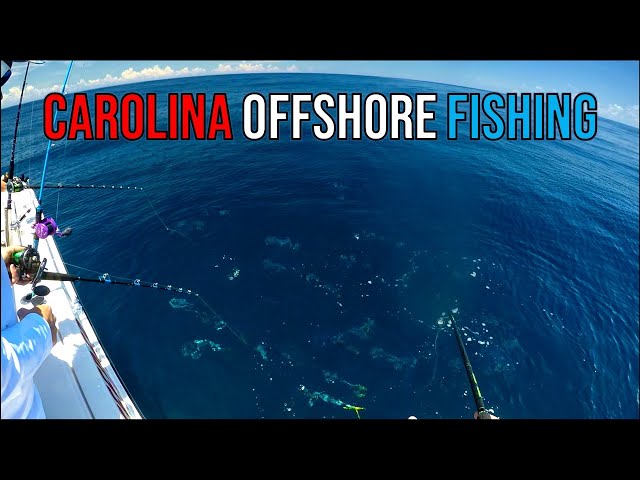 Carolina Offshore Fishing - First Time Out! (Murrells Inlet, SC)