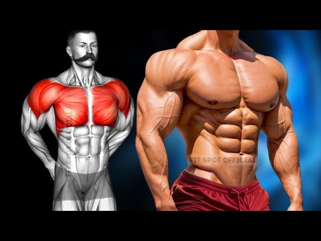 Best Chest and Shoulder Workout - 6 Effective Exercises