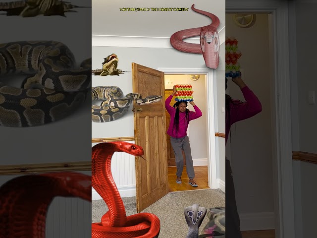 Animal funny video Anaconda snake python in my house in real life #vfx magic bhoot wala #shorts 1