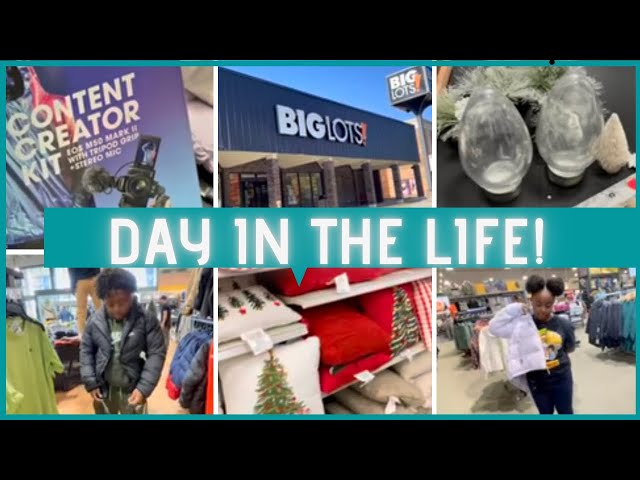 DAY IN THE LIFE / SHOPPING AT BIGLOTS & TARGET / CHRISTMAS DECOR/ NEW COATS / LARGE HAUL /NEW CAMERA
