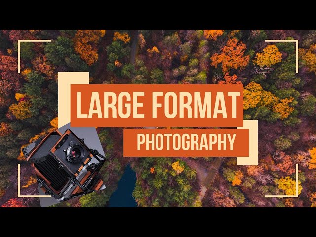 How large format photography and art can help conservation