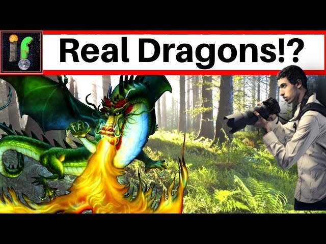 Cryptozoology. Dragons could be real?
