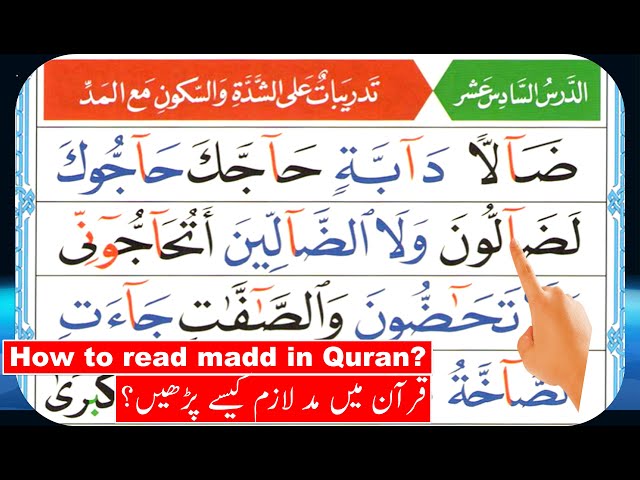 Quran Tajweed | How to read Quran | How to read madd in Quran | Qaida Noorania lesson 16 repeated