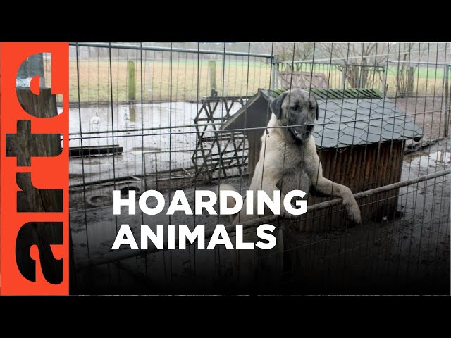 Animal Hoarders in Germany | ARTE.tv Documentary