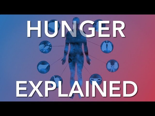 Intervallfasten und Hunger - Was die Wissenschaft dazu sagt