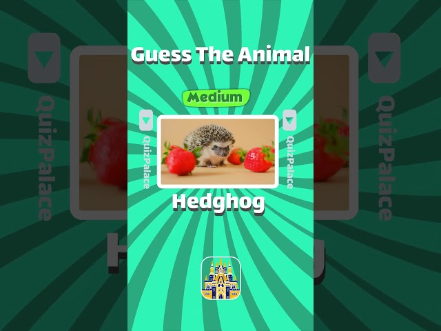 Guess the animal in 4 difficulty levels #quizpalace #challenge #animals