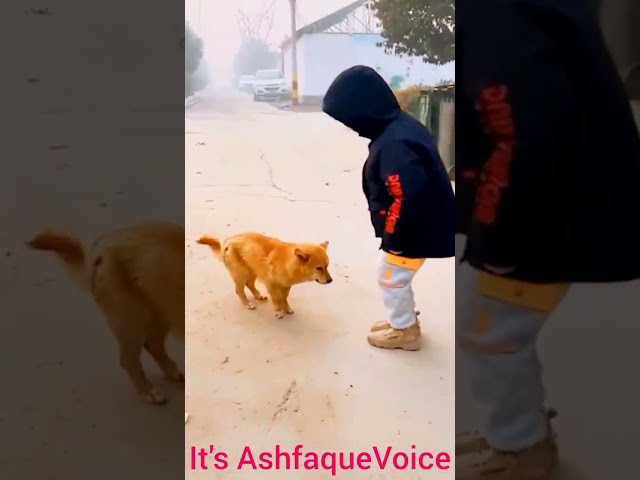 Baby and dog dance videos😀😀|funny baby videos|funny baby cartoon videos