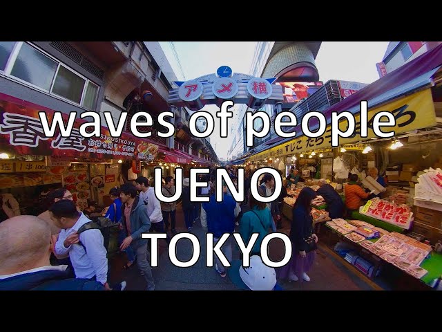 JAPAN Tokyo Travel, Recommend shopping street in Tokyo Ueno Ameyoko [ insta 360 ONE X ]