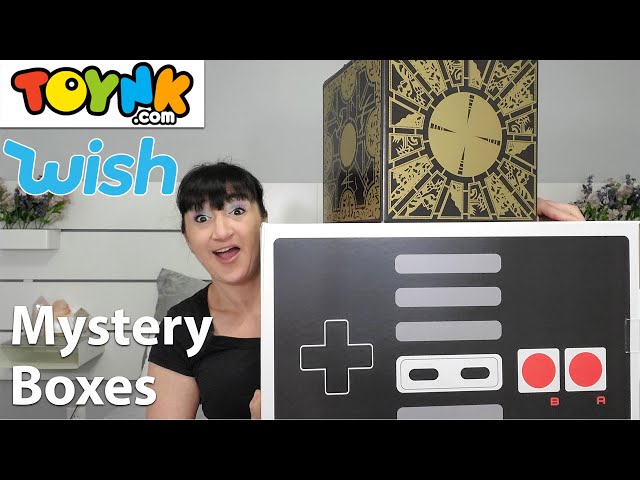 WISH And Toynk.com Mystery Boxes | Did I Get New Items This Round?