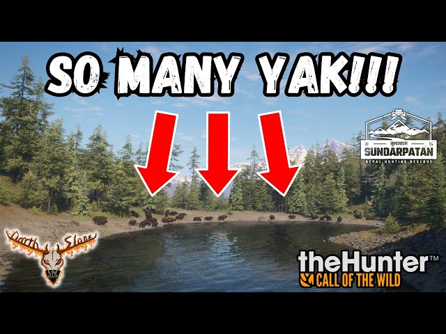 Insane Wild Yak Guide -the Hunter: Call of the Wild