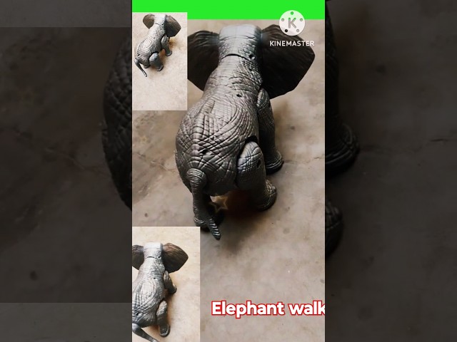Elephant walk and slow motion walk #shorts #ytshort #kidscat