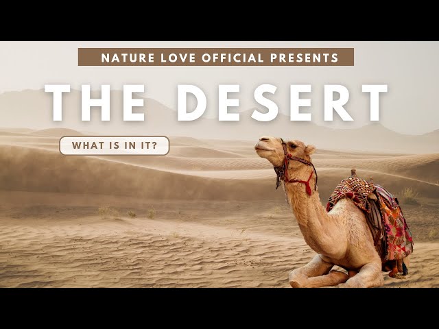 DESERT | NATURE LOVE |MEDITATION | SOLITUDE | PEACE | CAMEL |   NATURE