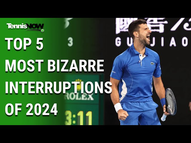 What Just Happened? Top 5 Most Bizarre On-Court Interruptions of 2024