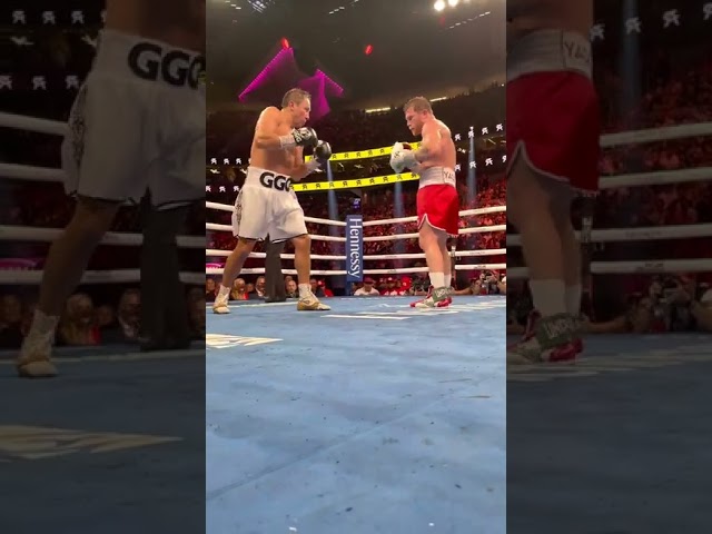 Canelo's Body Shots are BRUTAL 💥 #shorts
