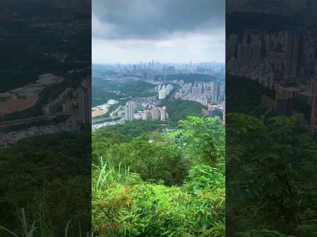 The Jungle City of Shenzhen, China 🇨🇳