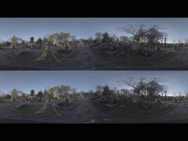 Lychakiv Cemetery Lviv Ukraine VR 360 8K 3D footage