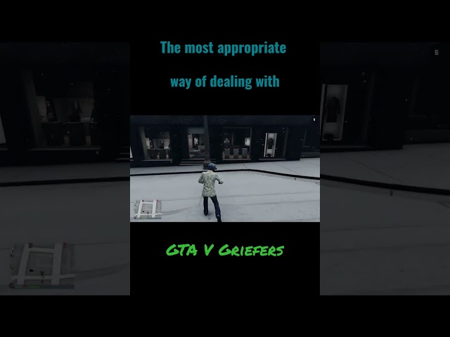 The funniest way to deal with GTA V online griefers!