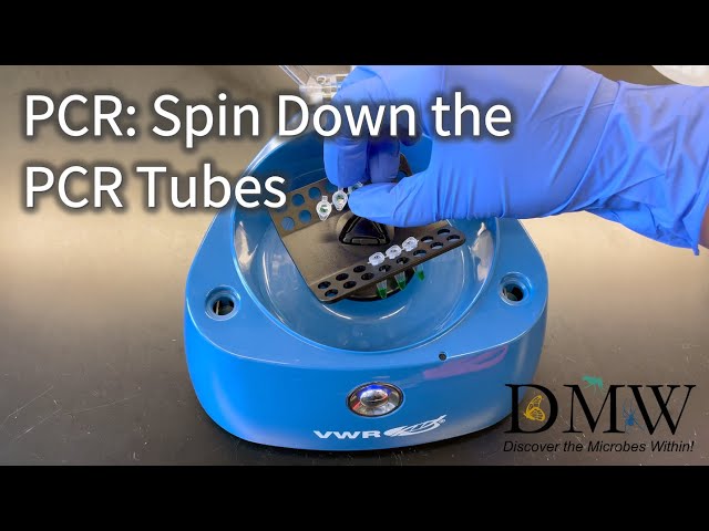 PCR: Spin Down PCR Tubes