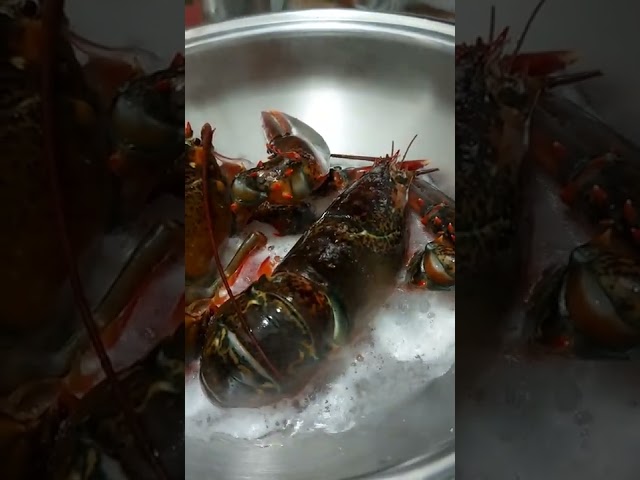 Seafood Boil Lobster