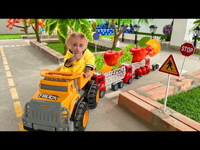 Bebé Mono BoBo va a cosechar frutas a la granja y juega con gatitos - MONKEY BOBO
