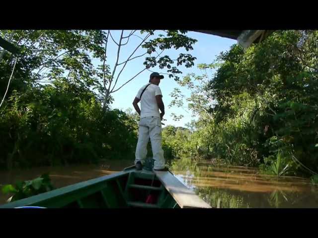 Peru Amazon Vacation: Heath River Wildlife Center