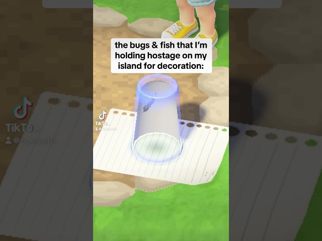 no bugs or fish were harmed in the creation of this video #animalcrossing #shorts