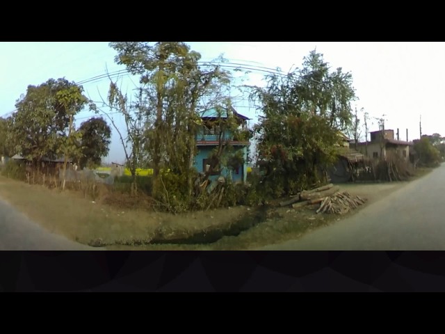 chitwan ox cart