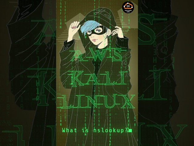 AWS Kali Linux Instance. What is nslookup?