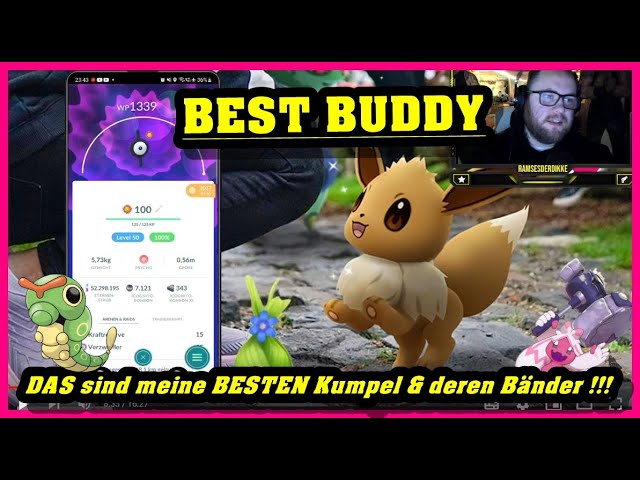 DAS sind meine BESTEN Kumpel & deren Bänder !!! (Zuschauerwunsch) | Pokémon GO Deutsch # 2344