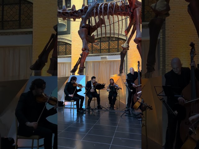 5 Piece String Quintet At The Royal Ontario Museum - Indiana Jones #bridgerton #strings #livemusic