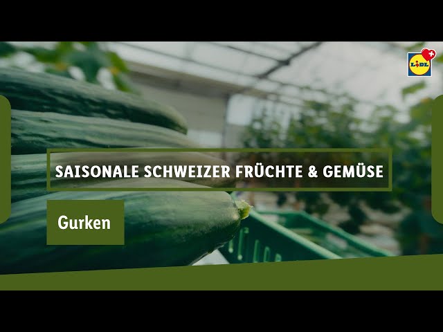 «Gurken» | Lidl Schweiz