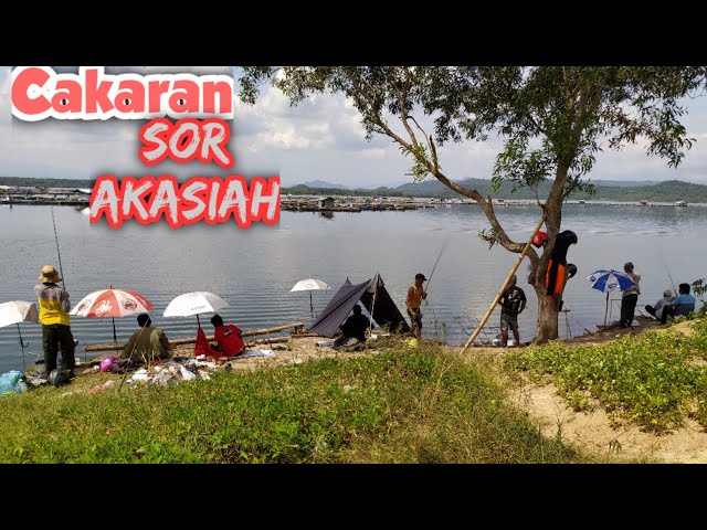 Adu nasib mancing di Spot Mancing Cakaran sor akasia Waduk Gajah Mungkur Wonogiri vlog 43