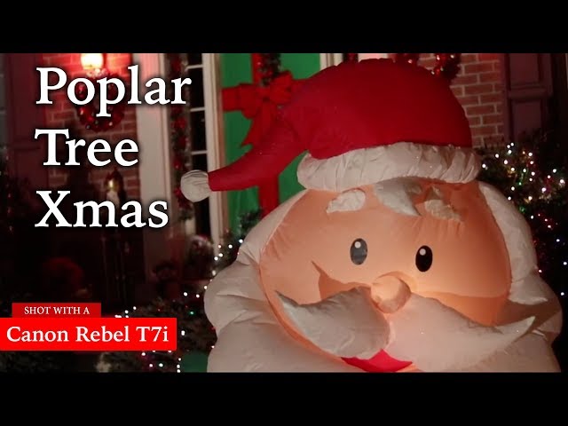 Poplar Tree Christmas | A Short Film | Shooting At Night