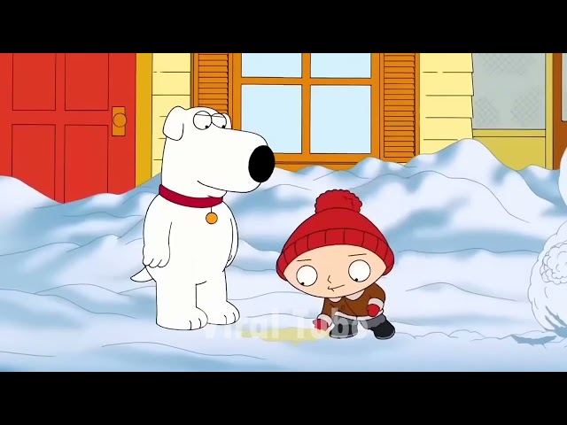 1 Hour of Family Guy Compilation  Funny Moments 2023