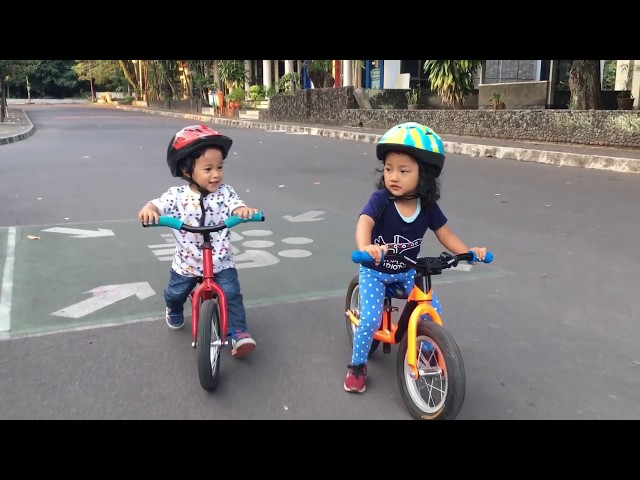 balance bike / push bike - toddler children playing together with their bike - belajar sepeda