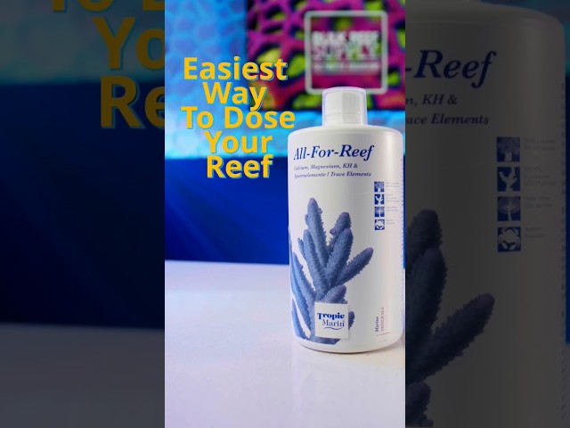 Super-Simple, One Part Reef Tank Dosing!