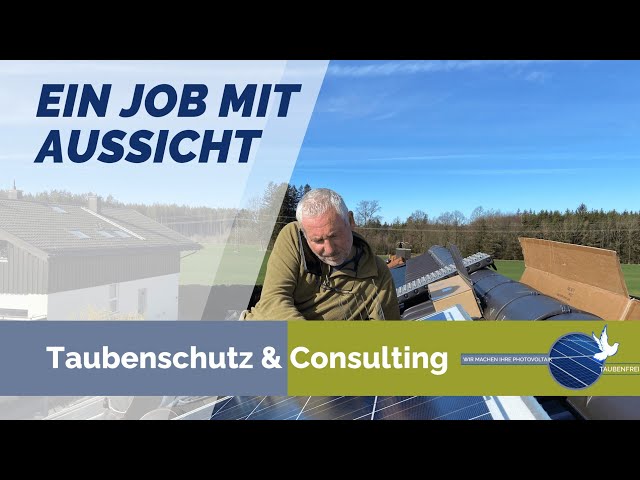 Jobangebot für dachsichere Handwerker: Anforderungen im Photovoltaik Taubenschutz.